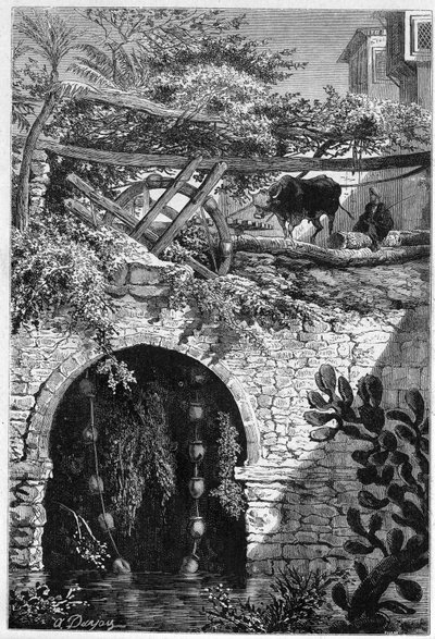 Kunstvanding i Egypten: en okse drejer et hjul rundt, som er viklet spande. Indgravering i "" Le Monde Illustré"" nr. 1313 af 27. maj 1882. af Unknown artist