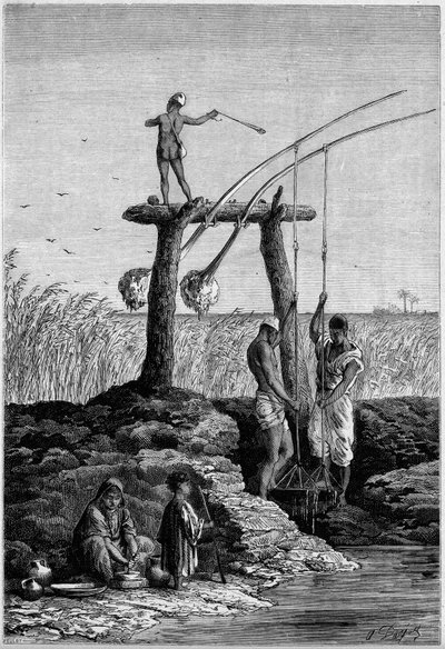 Kunstvanding i Egypten: chadoufs (eller shadoufs) på bredden af Nilen. Indgravering i "" Le Monde Illustré"" nr. 1313 af 27. maj 1882. af Unknown artist