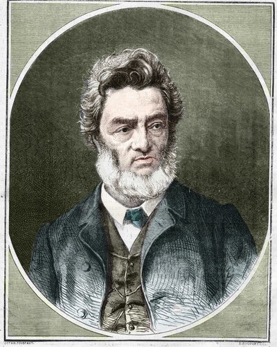 Jules Favre (1809-1880), fransk politiker og advokat. af Unknown artist