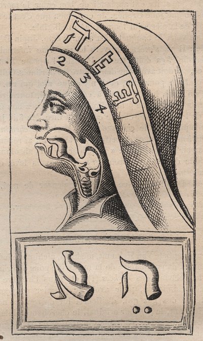 Kabbalah - Kabbalale - Illustration fra: "" The Alphabet of Nature in Hebrew Brief Delineation" (The Alphabet of Nature) af Franciscus Mercurius van Helmont (1618-1699) (Francois Mercure Van Helmont) - I dette værk hævdede van Helmont, at hver lys af Unknown artist