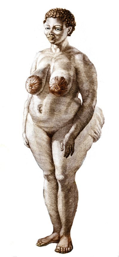 La Venus Hottentote, kvinde af racen Bochiman (The Hottentot Venus,) gravering fra 1815. af Unknown artist
