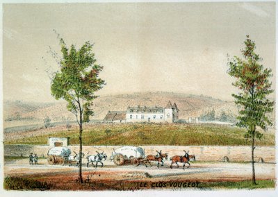 Le clos Vougeot, vingården i Cote d