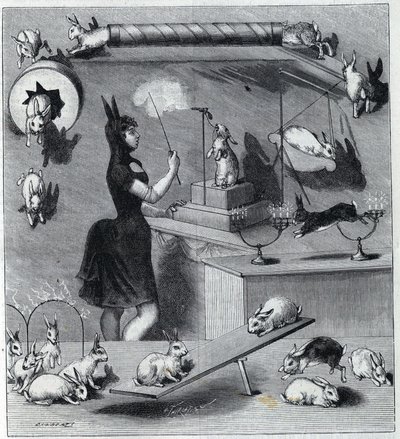 Les rabbits dresses du Nouveau Cirque i Paris: tamper i kaninkostume, der lærer dyret de forskellige numre. Stik i ""La Nature"" 1890. Privat samling. af Unknown artist
