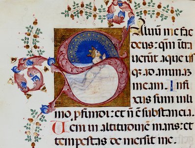 Lettrine S: David in the Deep Light - Antifoni fra det 15. århundrede. Kommunal Bibl. af Rimini. af Unknown artist