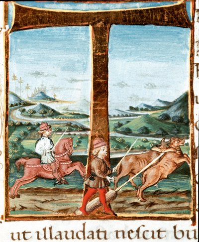 Lettrine T dekoreret af en rytter og en træner af okser - Miniature taget fra "" The Bucoliques"" (Eglogues) af Virgil (Publius Vergilius Maro) (70-19 f.Kr.) (Ms IV E.12). 1400-tallets Napoli, Nationalbiblioteket af Unknown artist