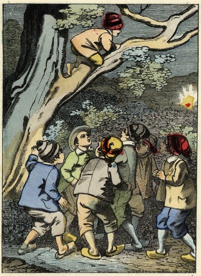 Lille Poucet klatrer på et træ og leder efter sin vej. Han samler et lys op i skoven. Illustration af Charles Perraults fortælling "" Le Pepetit Poucet" af Unknown artist