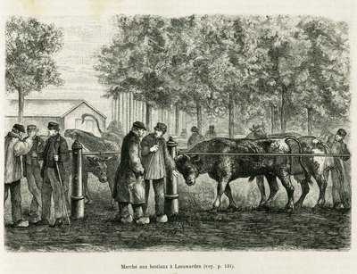 Husdyrvandring i Leeuwarden (Holland). Gravering for at illustrere historien La Frise, baseret på et forhold fra en hollandsk avis, i le tour du monde 1886, instrueret af Edouard Charton (1807-1890), Hachette, Paris. af Unknown artist