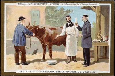 Louis Pasteur og hans arbejde med kulsygdom - reklamemærke fra Chocolats d