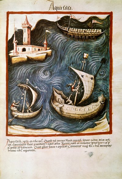 Medicinhandel: ""saltvand"" Side taget fra ""Tacuinum sanitatis"" (Cod. ser. nov. 2644) Omkring 1400 Wien, Østrigs Nationalbibliotek af Unknown artist
