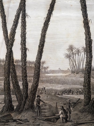Memphis, udsigt over ruinerne (videnskabsmænd og arbejdende kunstnere) - i "" Beskrivelse af Egypten", Imperial Editions af Unknown artist