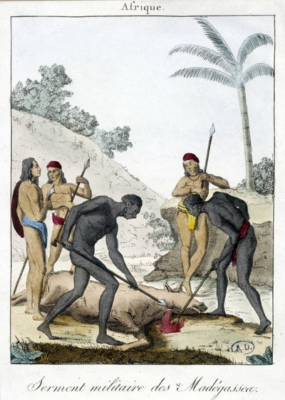 Militær ed af indbyggerne på Madagaskar (slagtet en okse) - grv. 1811 af Unknown artist