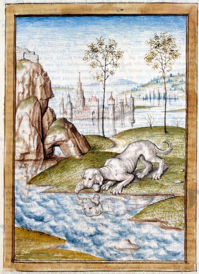 Miniaturedyr fra en tysk oversættelse af fablerne om "" Kalila (Calila) og Dimna"" af Bidpai. Chantilly fra det 15. århundrede, Musee Conde af Unknown artist