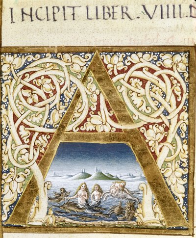 Miniature, der repræsenterer sirener. Bogstavet "" A"" - i "" Naturalis Historiae"" af Plinius den Ældre (23 - 79), red. 1480.Victoria & Albert Bibliotek af Unknown artist