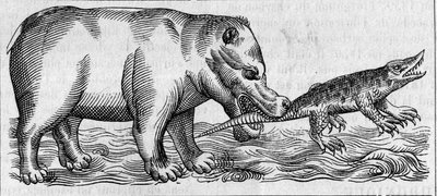 Nilen flodhest. (Efter Pierre Belon af Unknown artist
