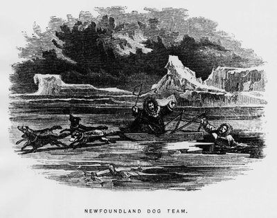 Nordpolen: slædehund svæver en mand falder gennem isen - Elisha Kent Kane, Arctic Explorations in the years 1853-1855, Philadelphia, Childs and Peterson af Unknown artist