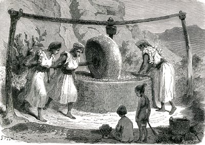 Olivenmølle i Algeriet 1885 af Unknown artist