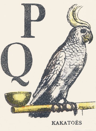 P Q: Kakadus von Unknown artist
