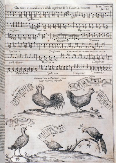 Side fra Musurgia (1650) af Unknown artist