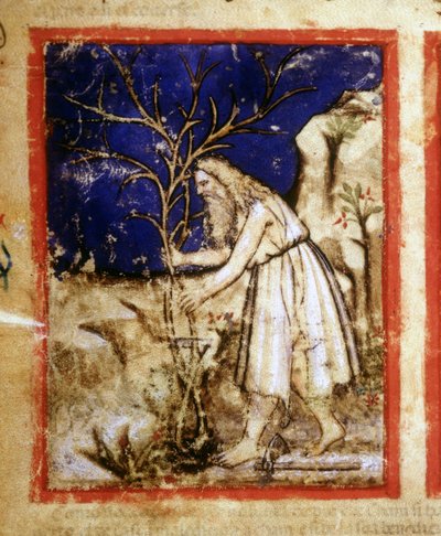 Side af et bibelmanuskript. Noahs planteliv. Miniaturer fra codex 212 (eller Padovano Codice eller Bible of Padua) 1390-1400 Rovigo, Accademia dei Concordi af Unknown artist
