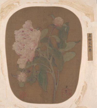 Peony Flower and Leaves (albumblad; blæk og farve på silke) af Unknown Artist
