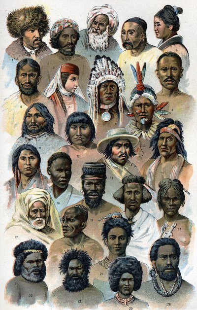 Fysiognomi og form af hovedet af fremmede menneskeracer.""Den nye naturlige medicin"" af F.E. Bilz.1898. af Unknown artist