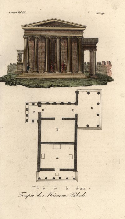 Plan og højde af Erechtheion eller Erechtheum A, Temple of Neptun B, Temple of Minerva Polias med Porch of the Caryatid C, og Temple of Pandrosus eller Pandrosion D af Unknown artist