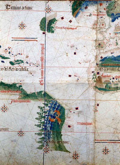 Planisphere of Cantino: Kort over Alberto Cantino fra 1502, der repræsenterer grænselinjen pålagt af Tordesillas-traktaten (1494) mellem portugisisk og spansk Amerika. Biblioteca Estense. Modena af Unknown artist