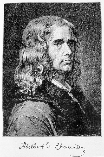 Portræt af Aldebert Von Chamisso de Boncourt (1781-1838), tysk forfatter og lærd af fransk oprindelse - gravering af Unknown artist