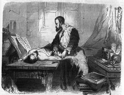 Portræt af André Vésale (1514-1564), hollandsk anatom (på latin: Andrea Vesalius, hollandsk: Andries Van Wesel). Stik fra 1866. af Unknown artist