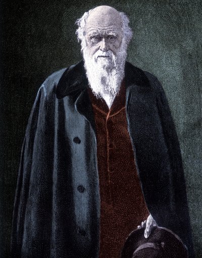 Portræt af Charles Darwin, britisk naturforsker (1809 - 1882) af Unknown artist