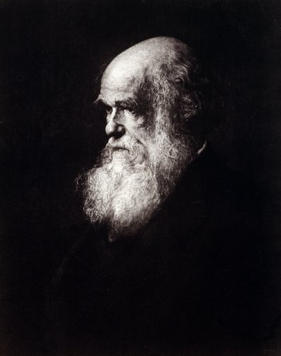 Portræt af Charles Robert Darwin (1809 - 1882) af Unknown artist