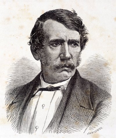 Portræt af David Livingstone, britisk missionær og opdagelsesrejsende (1813-1873) - i "" Tour du Monde", 2. sem. 1875¿ af Unknown artist