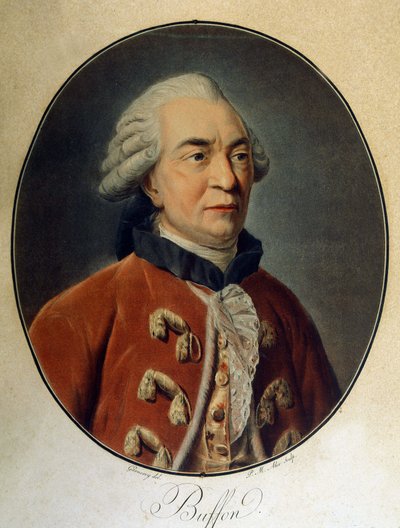 Portræt af Georges Louis Leclerc, greve af Buffon (1707 - 1788), fransk naturforsker og forfatter. af Unknown artist