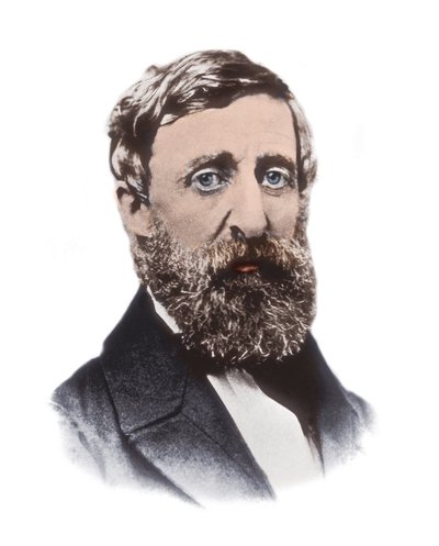 Portræt af Henry David Thoreau (1817-1862) - amerikansk essayist, digter, filosof, abolitionist, naturforsker, skattemodstander, udviklingskritiker, landmåler og historiker af Unknown artist