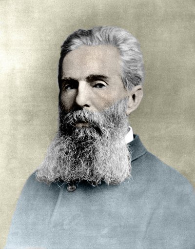 Portræt af Herman Melville (1819 -1891) amerikansk forfatter. af Unknown artist