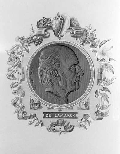Portræt af Lamarck (1744 - 1829). af Unknown artist