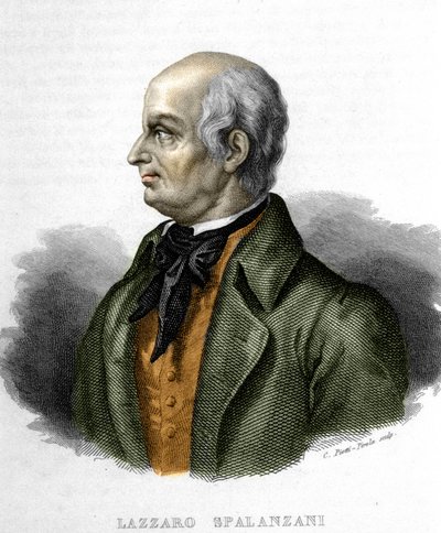 Portræt af Lazzaro Spalanzani (eller Spallanzani), italiensk biolog (1729 - 1799) af Unknown artist