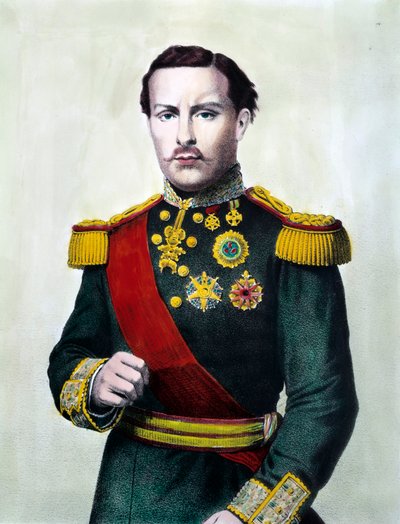 Portræt af Ludvig I af Portugal (1838-1889) Konge af Portugal Gravering af det 19. århundrede Privat samling af Unknown artist