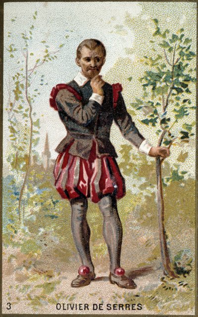 Portræt af Olivier de Serres (1539 - 1619), fransk agronom. 1800-tallets kromolitografi. af Unknown artist