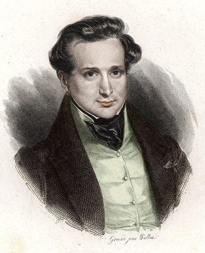 Portræt af Victor Hugo, ung mand af Unknown artist