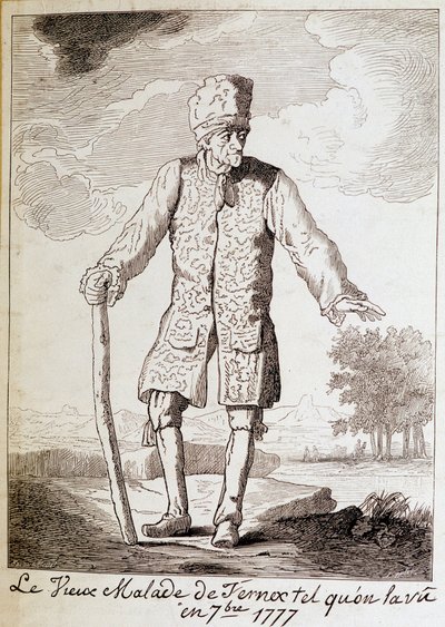 Portræt af Voltaire (1694 - 1778), fransk forfatter og filosof, ældre. af Unknown artist