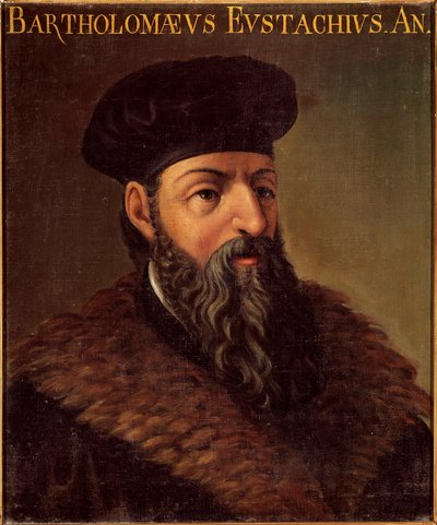 Portræt af den italienske anatom og læge Bartolomeo Eustachi (Barthelemy Eustache) (1505-1574) Anonymt maleri. 1500-tallets Padua, Universite Italy - Portræt af den italienske anatom og læge Bartolomeo Eustachi (1505-1574). Anonym maling af Unknown artist