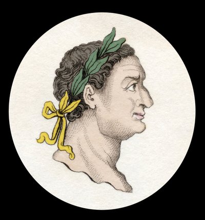 Portræt af den romerske kejser Titus (39-81). (Titus Flavius Sabinus Vespasianus). Gravering af det 19. århundrede. af Unknown artist