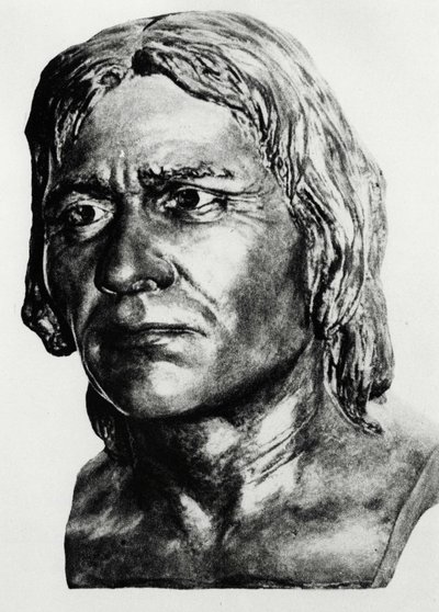 Forhistorie: rekonstruktion af Cro-Magnons mand (buste), efter Mac Grégor. af Unknown artist