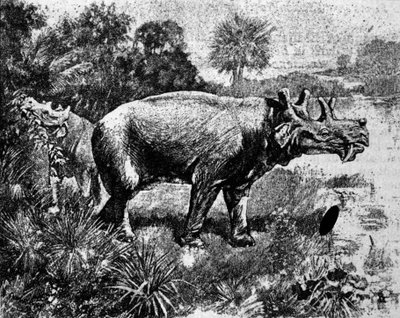 Forhistorie: repræsentation af en fire-hornet Uintatherium dinosaur. af Unknown artist
