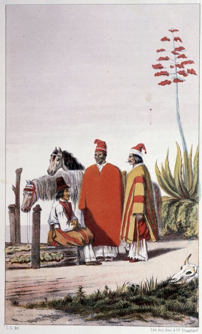 Privat- og landfolk, Buenos Aires - i ""Første svenske jordsejlads"" af Skogmand Carl Johan Alfred, red. Stockholm, Adolf Bonnier af Unknown artist