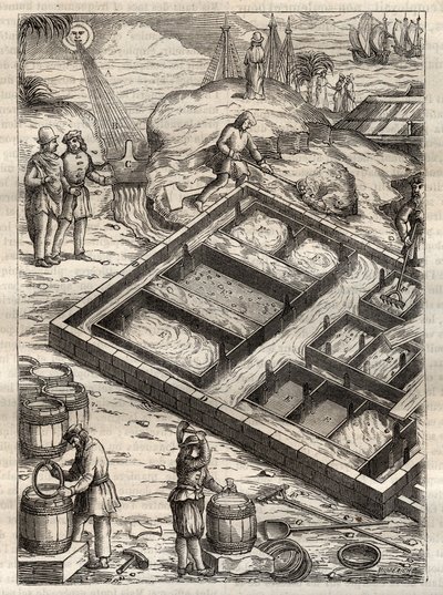Fremstilling af salt ved at fordampe havvand i saltpander. Fra "" De re metallica"" af Georgius Agricola (Georg Bauer). (Basel 1556) - Saltproduktion: Havvand hældt i store skåle fordamper og efterlader saltdepot. Gravering fra "" De re metallica"" af G af Unknown artist