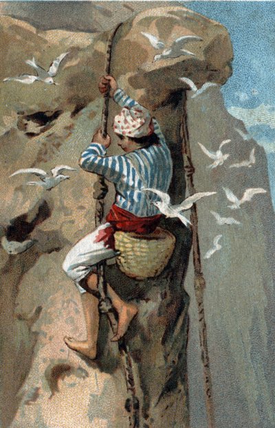 Flytning af salangan svalereder i Malaysia. Kromolitografi i slutningen af det 19. århundrede. af Unknown artist