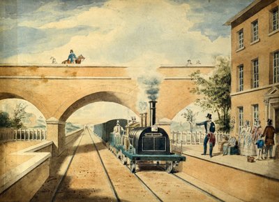 Rødhjort, ca. 1850 (akvarel på papir) af Unknown artist