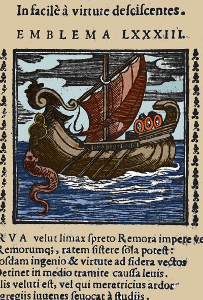 Repræsentation af en remora, der ifølge historierne om Plinius, Saint Ambrose og Rabelais angreb skibene ved at fastgøre halen med en sugekop til en sten og blokere skibet med munden. Stik fra et 1600-tals værk af Unknown artist